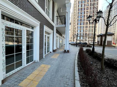 комерційна за адресою Михайла Максимовича вул. (Онуфрія Трутенка), 24-Г