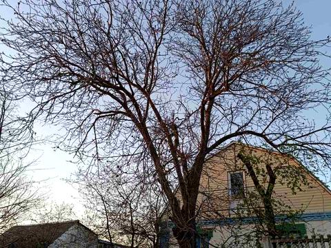 дом по адресу Куріленко