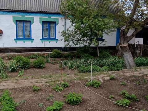 дом по адресу Куріленко