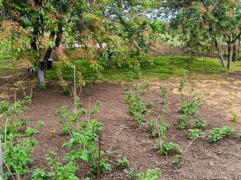 дом по адресу Куріленко