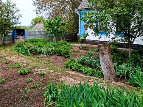 дом по адресу Куріленко