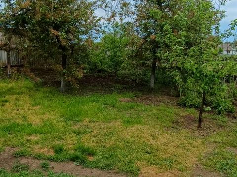 дом по адресу Куріленко