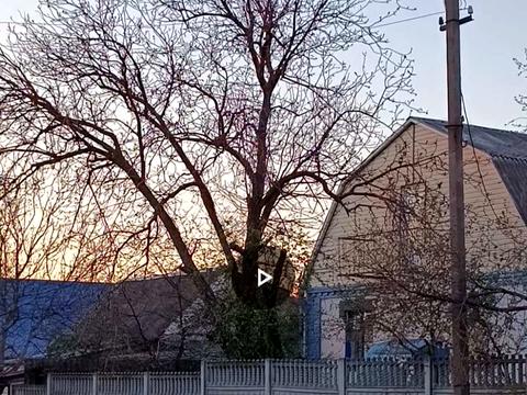 дом по адресу Куріленко