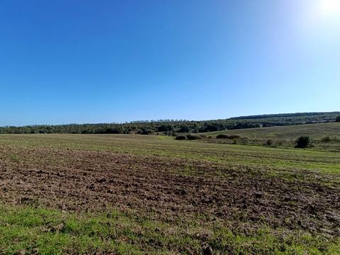 участок по адресу с. Стуфчинцы, Центральна