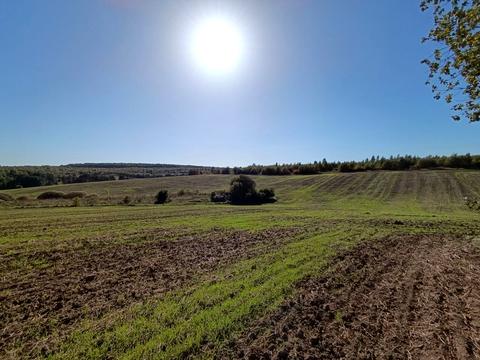 участок по адресу с. Стуфчинцы, Центральна