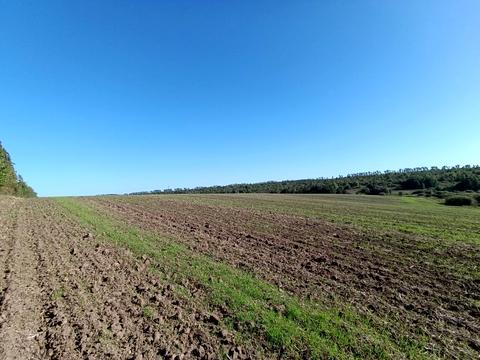 участок по адресу с. Стуфчинцы, Центральна