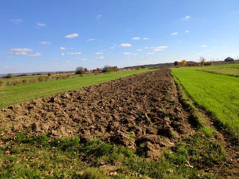 ділянка за адресою Тарнівецька вул.