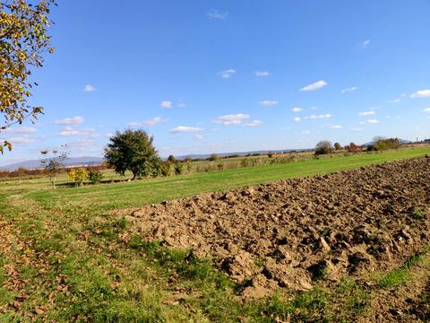 ділянка за адресою Тарнівецька вул.