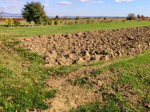 ділянка за адресою Тарнівецька вул.