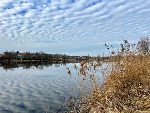 участок по адресу Садова
