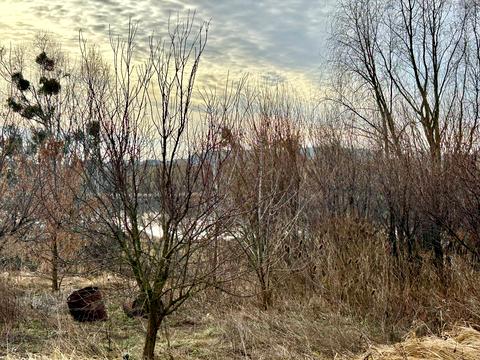 участок по адресу Садова