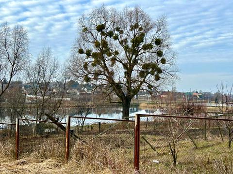 участок по адресу Садова
