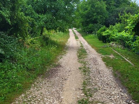участок по адресу Медова ул.