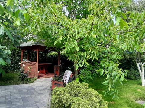 комерційна за адресою Петрівська вул., 7