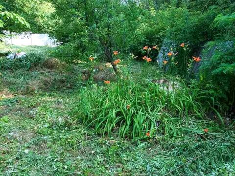 дом по адресу Ноябрьская ул.