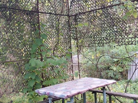 дом по адресу Ноябрьская ул.