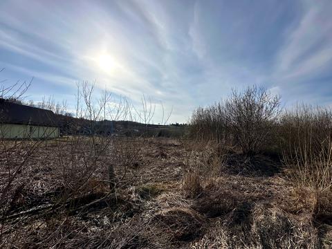 участок по адресу Рика ул.