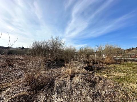 участок по адресу Рика ул.