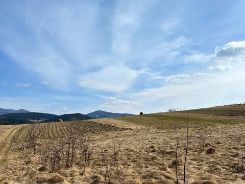 участок по адресу 