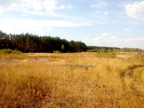 комерційна за адресою Слобідська, 4