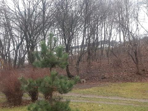 ділянка за адресою Болсуновський пров. (Мічуріна)