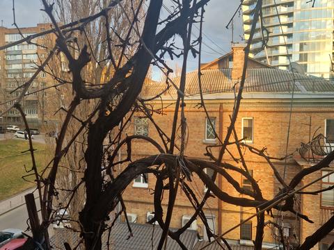 квартира по адресу Иоанна Павла II ул. (Лумумбы Патриса), 10