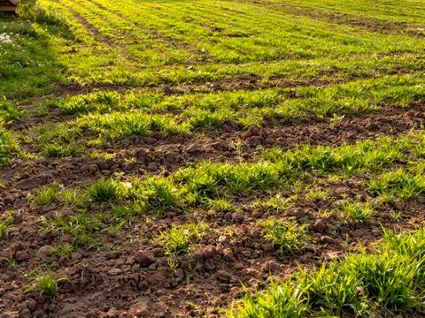 ділянка за адресою Печерська вул., 112