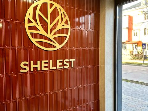 квартира по адресу Славы Стецко ул., (Будинок)