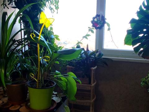 квартира за адресою Болградська вул. (Грозненська), 44