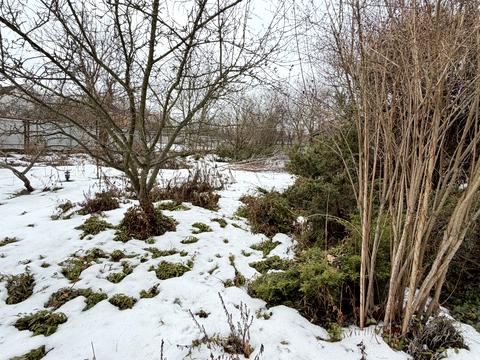 дом по адресу Польова 20