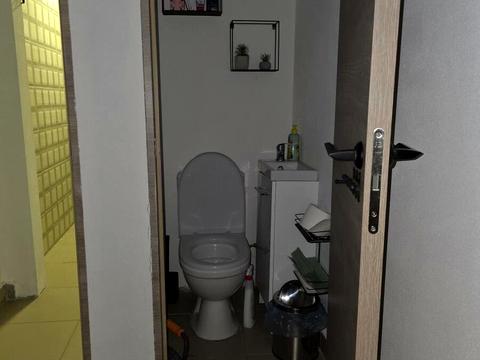 комерційна за адресою Олександра Довженка вул., 29-Г