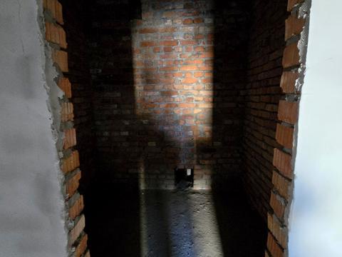 квартира по адресу Каменецкая ул., (Будинок)