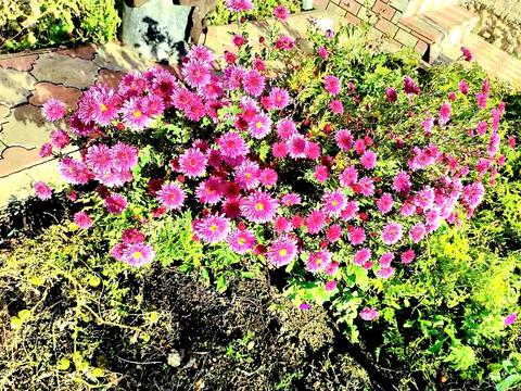 дом по адресу Садовая ул., 44