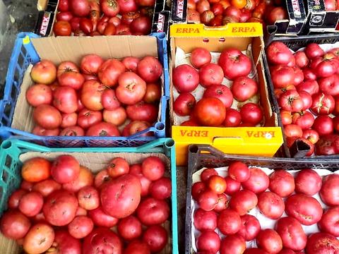 дом по адресу Садовая ул., 44