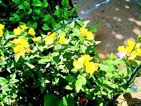 дом по адресу Садовая ул., 44