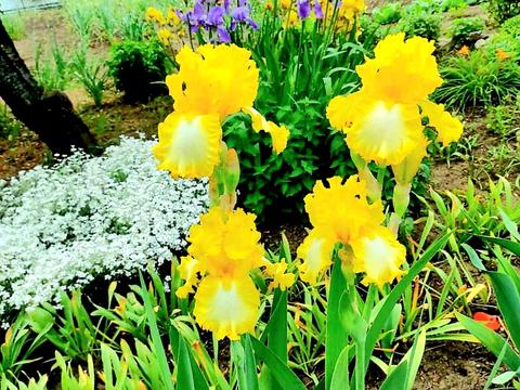 дом по адресу Садовая ул., 44