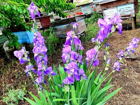 дом по адресу Садовая ул., 44