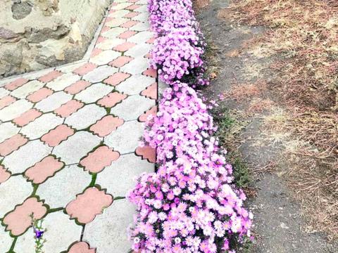 дом по адресу Садовая ул., 44