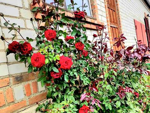 дом по адресу Садовая ул., 44