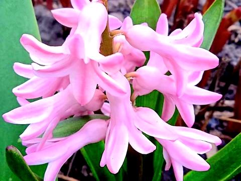 дом по адресу Садовая ул., 44