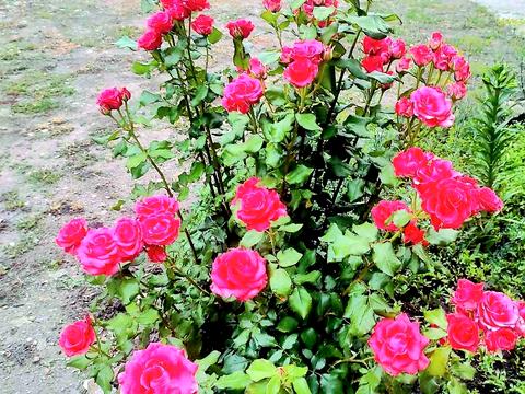 дом по адресу Садовая ул., 44