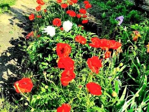 дом по адресу Садовая ул., 44