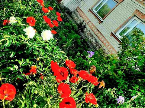 будинок за адресою Садова вул., 44