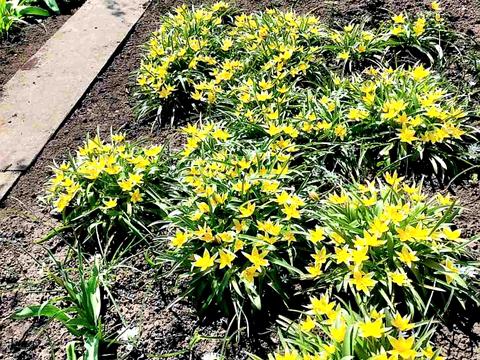 дом по адресу Садовая ул., 44