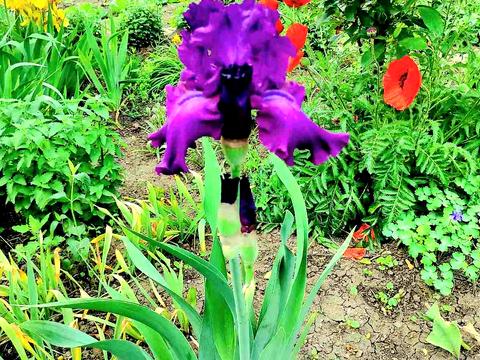 дом по адресу Садовая ул., 44