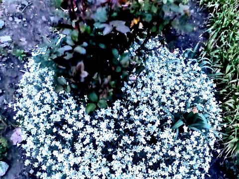 дом по адресу Садовая ул., 44