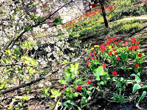 дом по адресу Садовая ул., 44