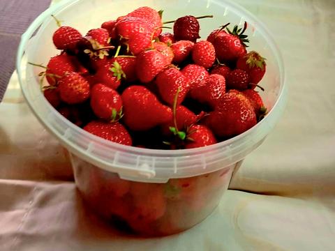 дом по адресу Садовая ул., 44