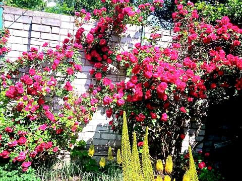 дом по адресу Садовая ул., 44