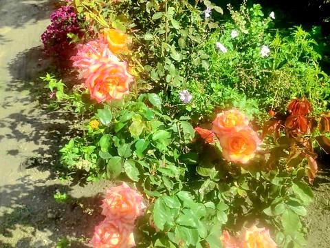 дом по адресу Садовая ул., 44